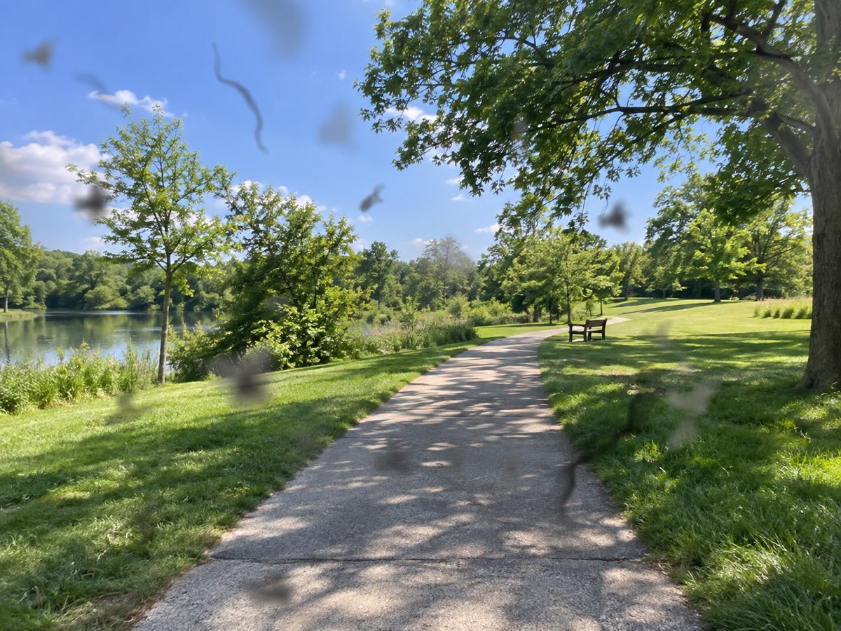 Simulation of eye floaters: a sharply focused park path and lake with dark wispy, thread-like shapes drifting across the view