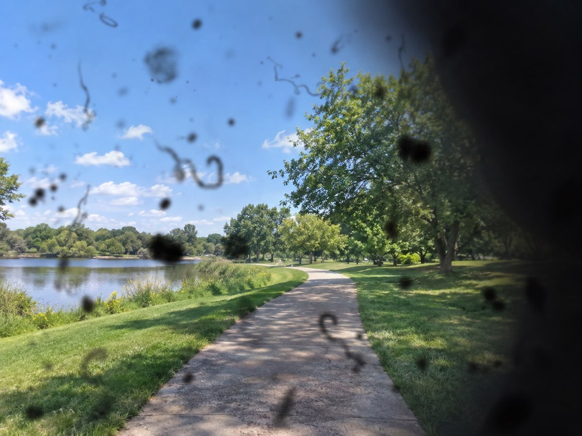 Simulation of a sudden shower of floaters: the same park scene scattered with dark specks, squiggles and cobweb shapes, with a dark shadow encroaching from one side