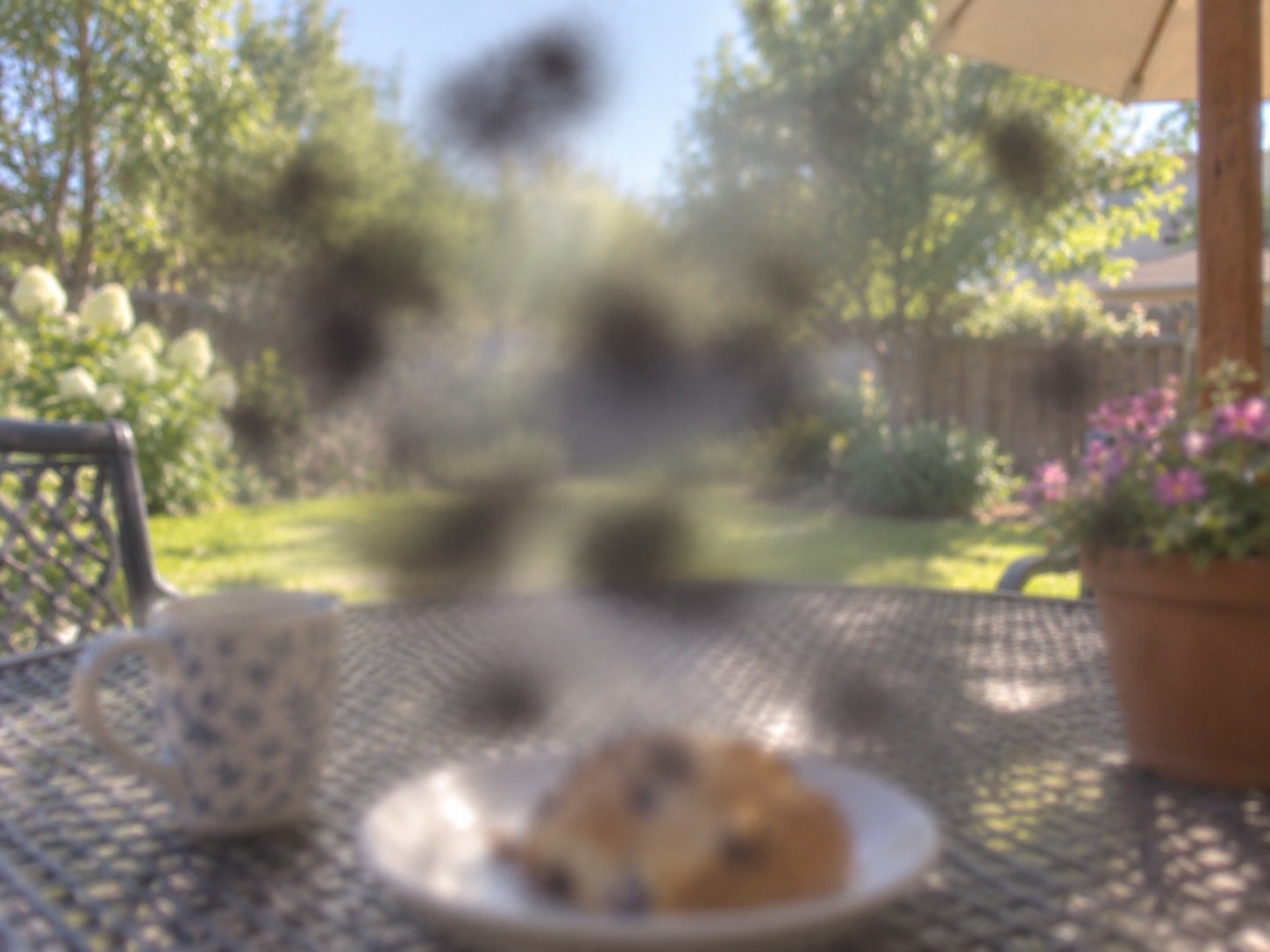 Simulation of vision affected by diabetic retinopathy: a sunlit garden scene blurred and interrupted by dark blotches